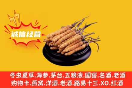 雄县回收冬虫夏草